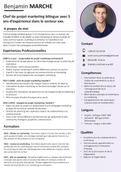 CV de chef de projet marketing