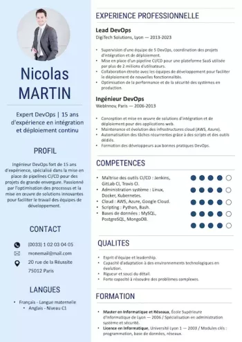 Exemple de CV : DevObs [GRATUIT]