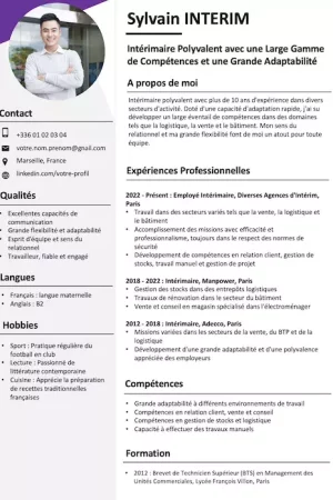 cv-interim